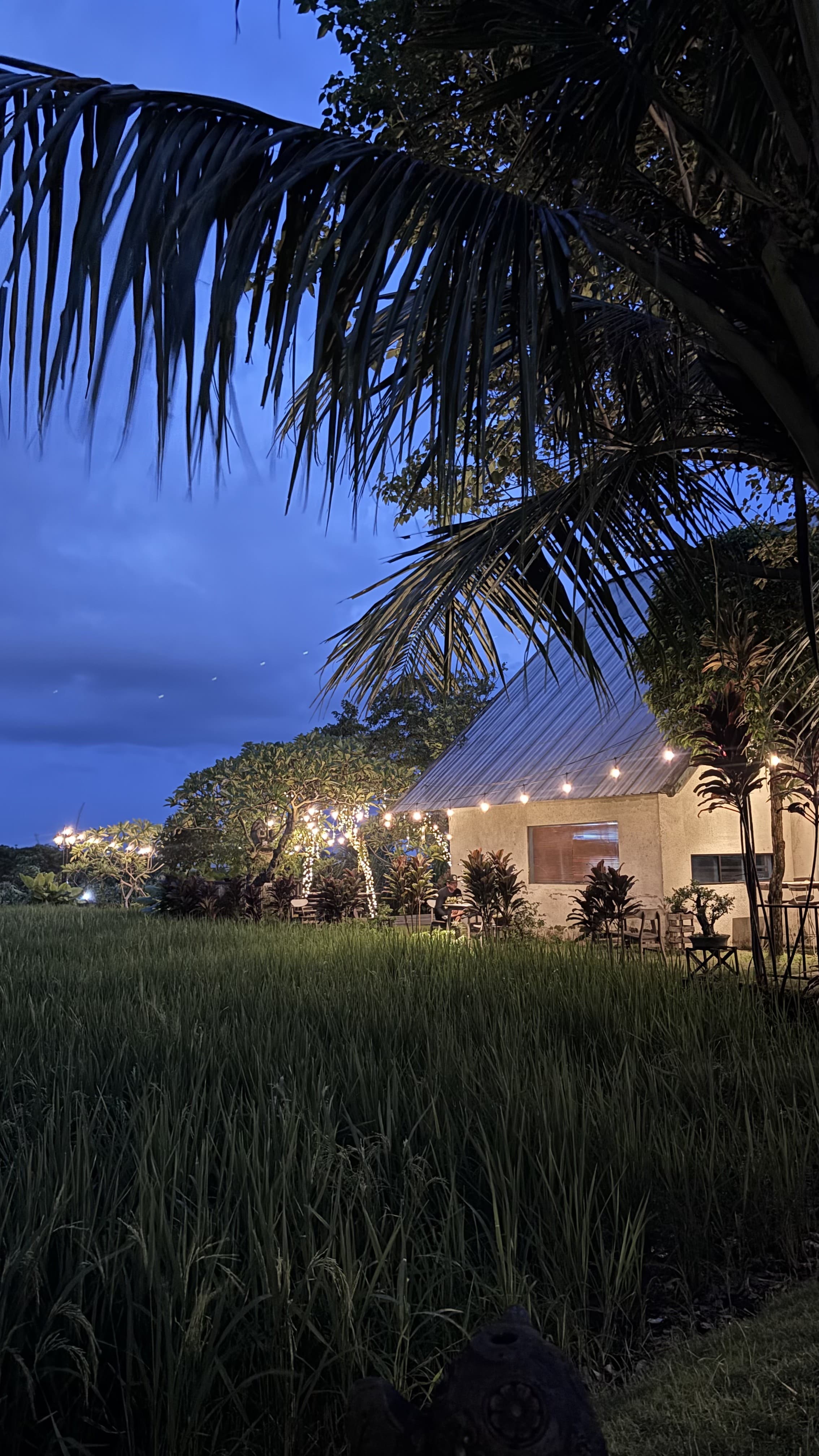 Private Pool Villa dengan View Sawah & Hutan Tropis 6